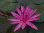 ภาพโดย(T.suwan)